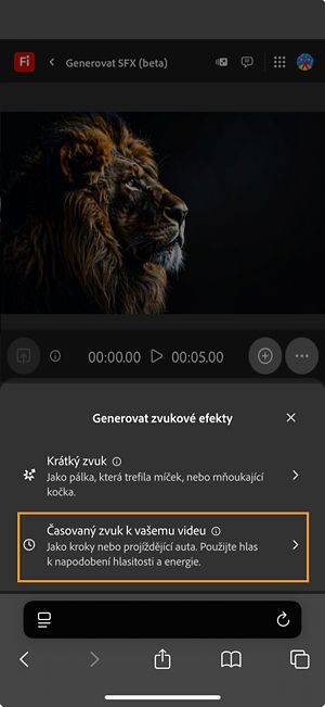 Možnost Generovat zvukové efekty má dvě různé volby a z dostupných možností je vybrána volba Časovaný zvuk s vaším videem.