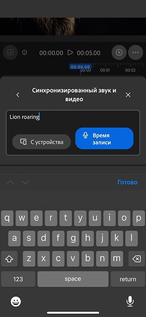 «Синхронизированный звук и видео» включает текстовый запрос с параметрами для добавления аудиофайла с устройства или записи напрямую в веб-приложении.