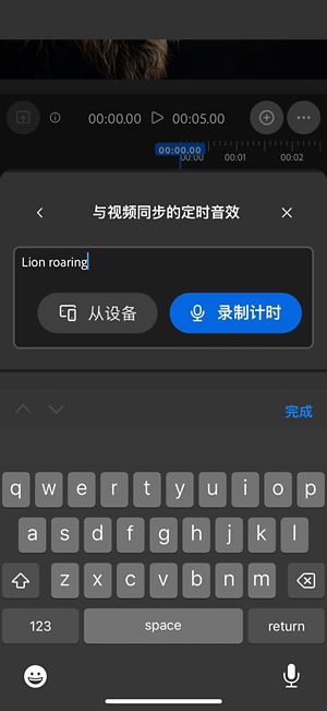 “与视频同步的音效”功能界面包含一个文本提示，并提供从设备上传音频文件或直接在 Web 应用程序上录制的选项。
