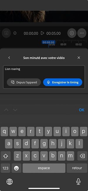 L’option Son minuté avec votre vidéo comporte un prompt textuel avec les options pour charger un fichier audio depuis l’appareil ou pour l’enregistrer directement sur l’appli web.