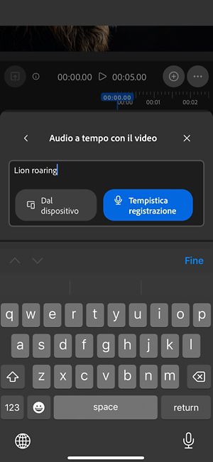 Audio a tempo con il video ha un prompt di testo con le opzioni per caricare un file audio dal dispositivo o per registrarlo direttamente nella web app.