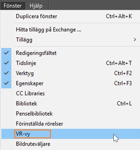 Förhandsvisa VR-innehåll med VR-vyn