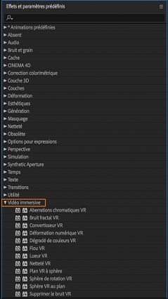 Effets de vidéo immersive dans le panneau Effets et paramètres prédéfinis