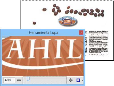 Herramienta Lupa para ampliar el área de documento