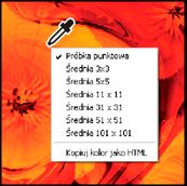 Program Photoshop: Menu kontekstowe