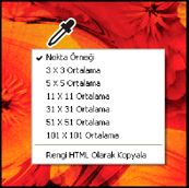 Photoshop bağlam menüsü