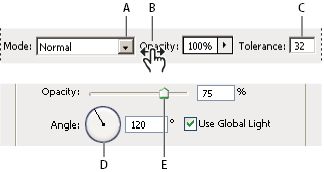Photoshop 在面板、对话框和选项栏中输入值