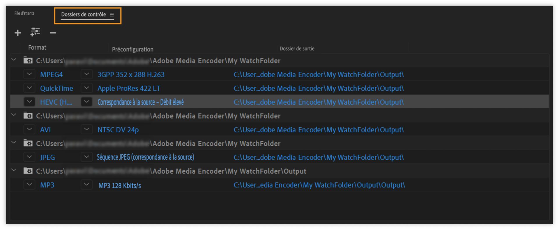 Panneau Dossiers de contrôle