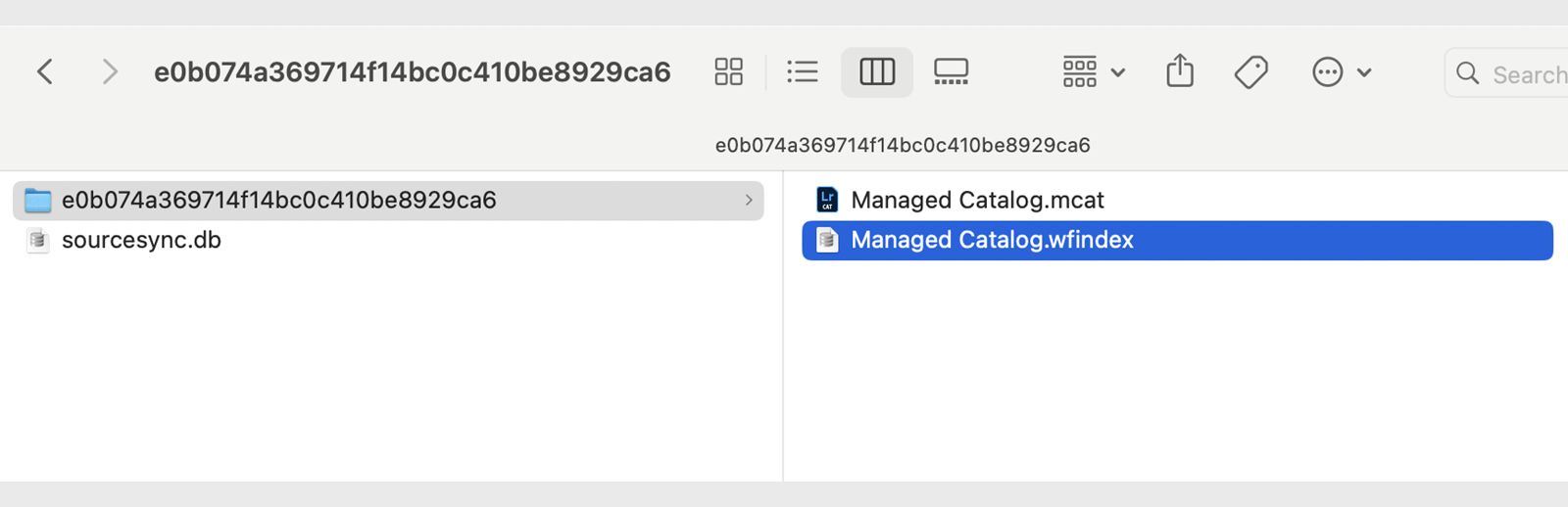 檔案總管顯示「Managed Catalog.mcat」和「Managed Catalog.windex」檔案的螢幕擷圖。