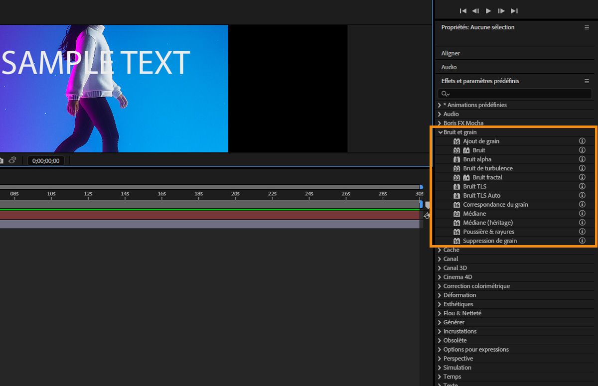 Le panneau Effets et paramètres prédéfinis est ouvert et la section des effets Bruit et grain est développée.Une liste d'effets est affichée. Chacun est accompagné d’une info-bulle permettant d’en savoir plus à son sujet.