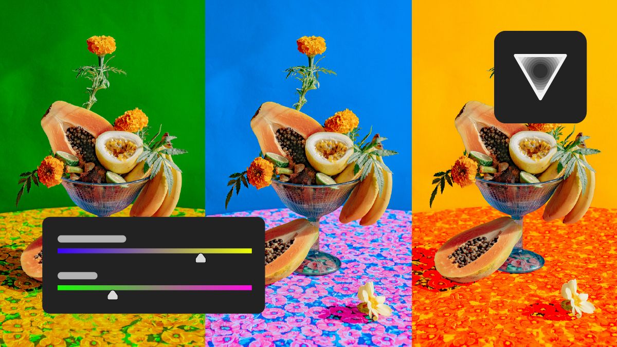 A screenshot of an octopus