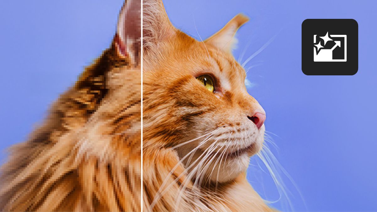 A screenshot of an octopus