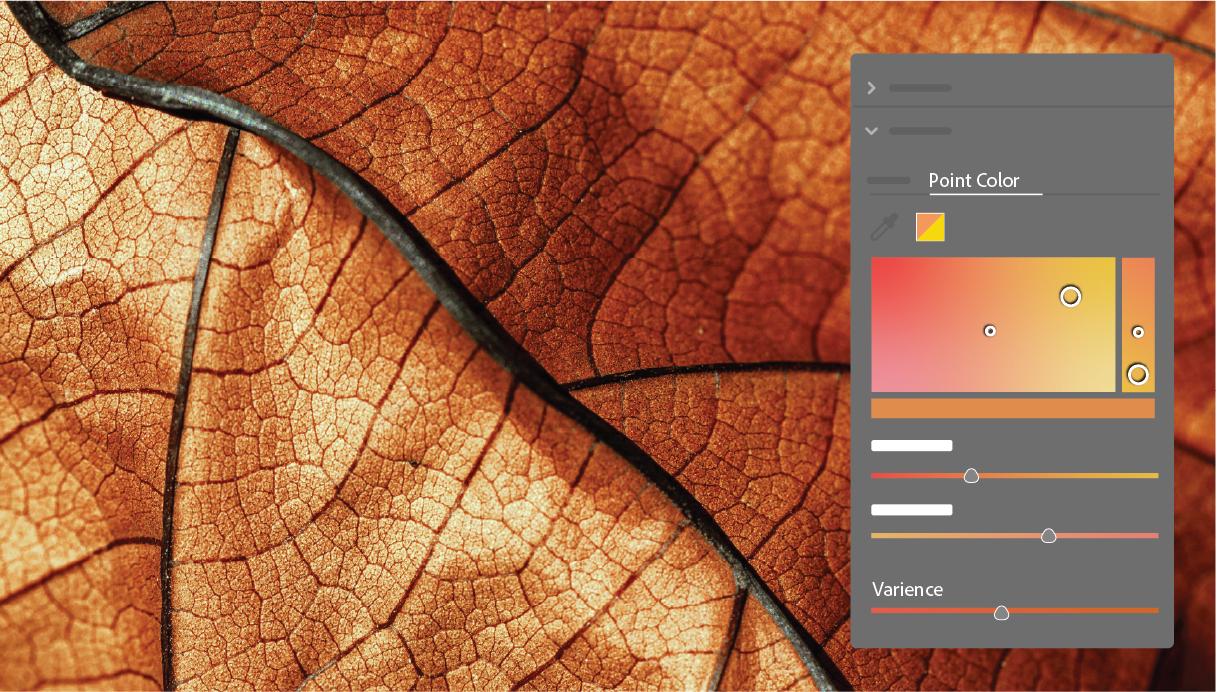 A graphic of a jellyfish