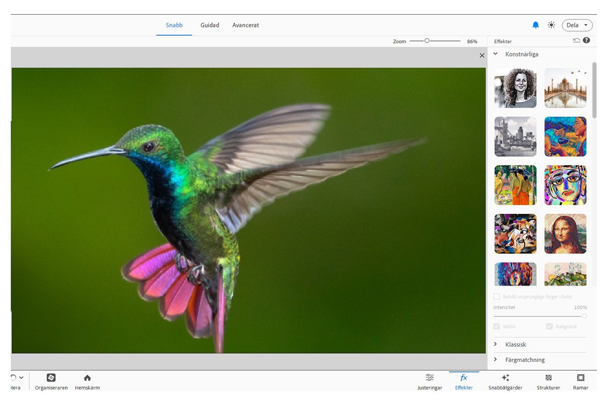 Utforska nya konstnärliga effekter i Adobe Photoshop Elements.