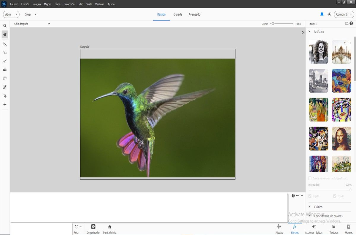 Explore los nuevos efectos artísticos en Adobe Photoshop Elements.