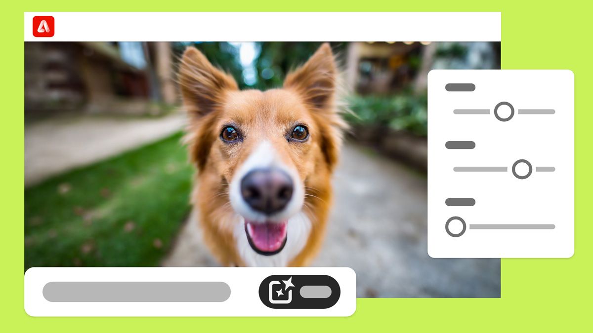 Foto natural de un perro generada con la opción Configuración de las fotos de la aplicación web de Firefly.