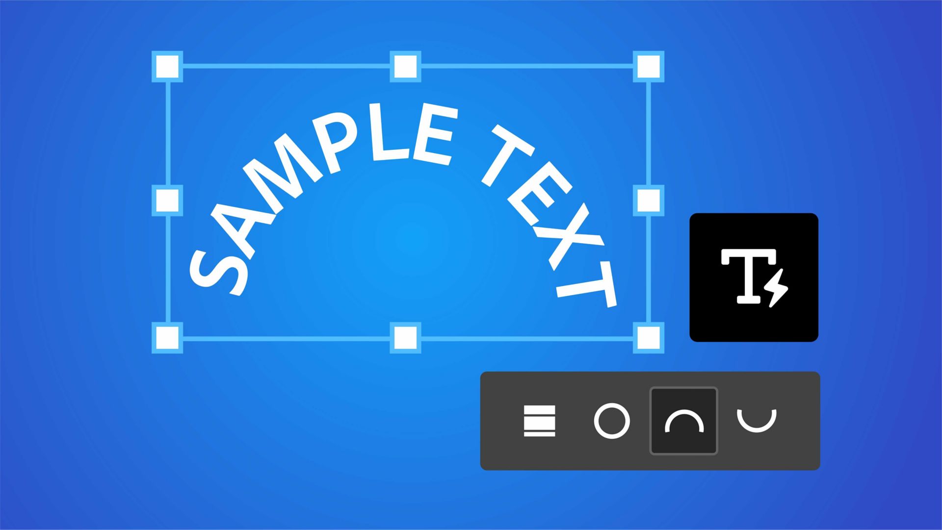 Image d’une méduse