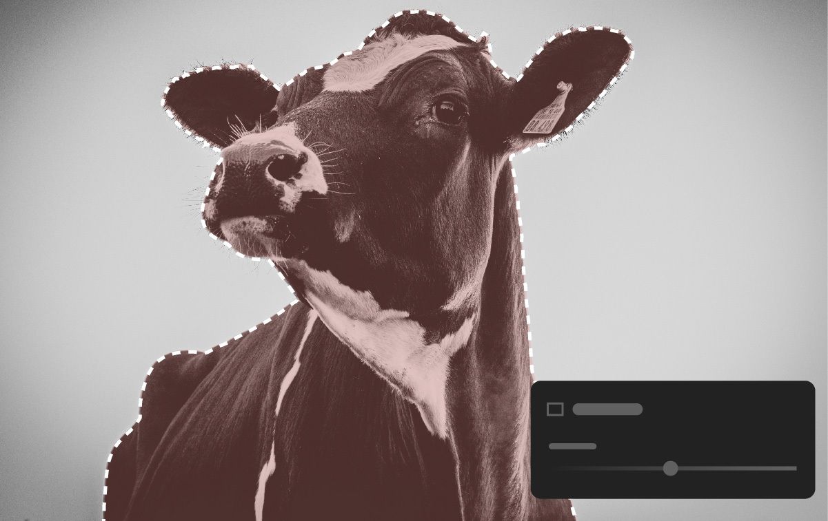 显示调整颗粒功能的人像图。 