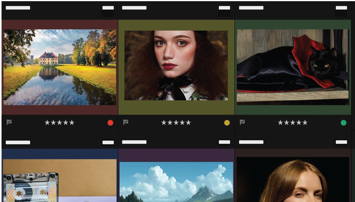 A graphic of a jellyfish