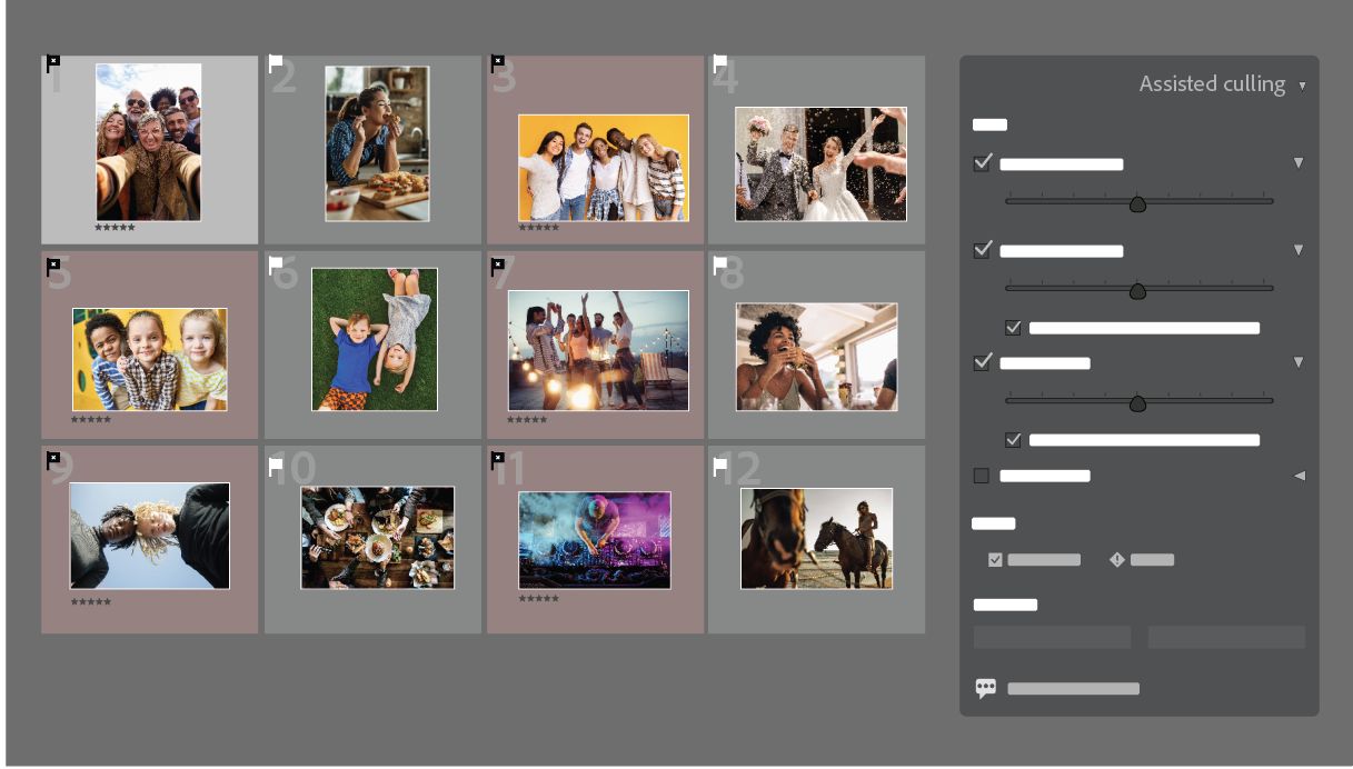 Un gráfico de una medusa