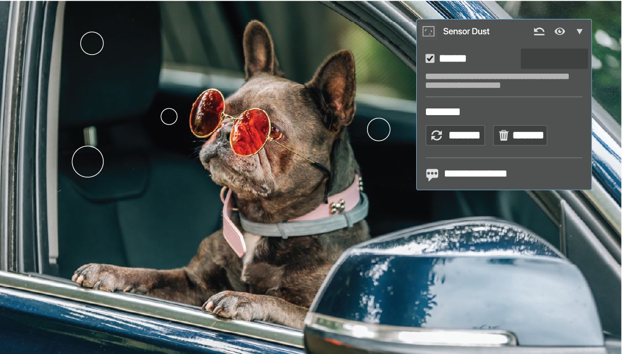 Gráfico de una medusa