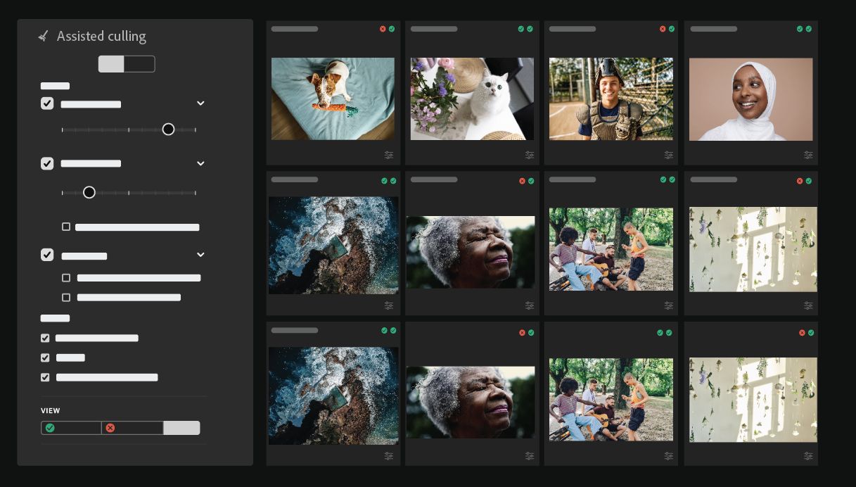 A graphic of a jellyfish