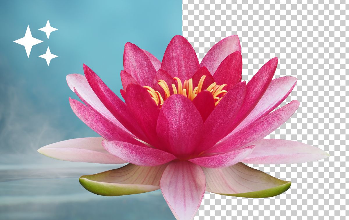 Photoshop Web 版中的快速操作