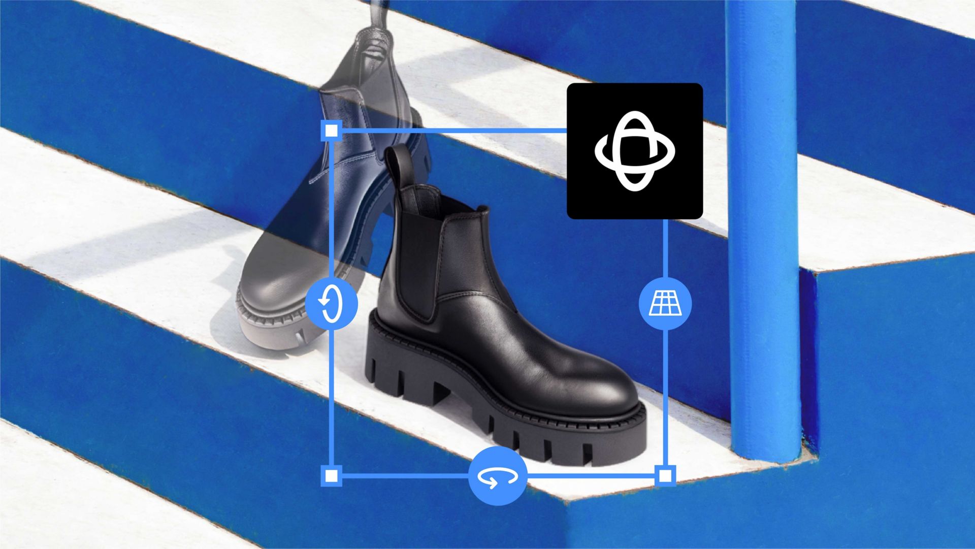 Image d’une méduse