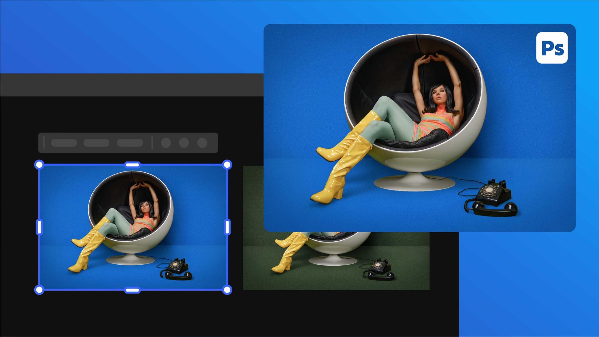 Image d’une méduse