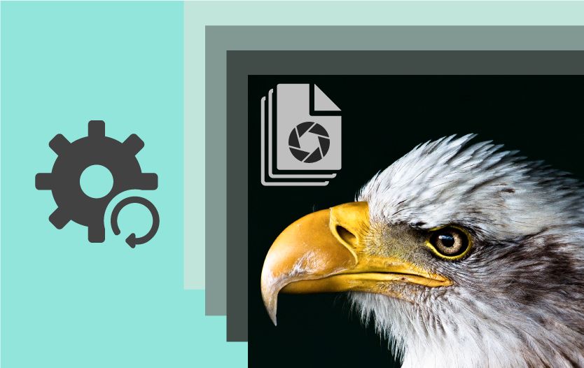 Ustawienia domyślne RAW