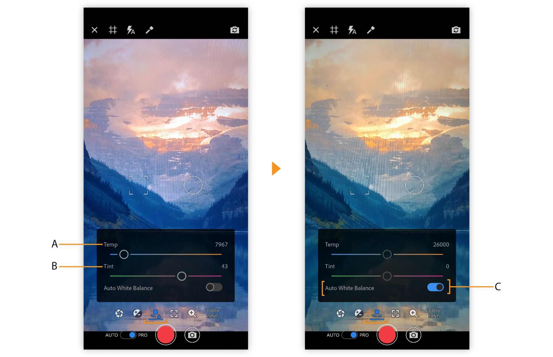 Opzioni di bilanciamento del bianco della modalità PRO in Premiere Rush