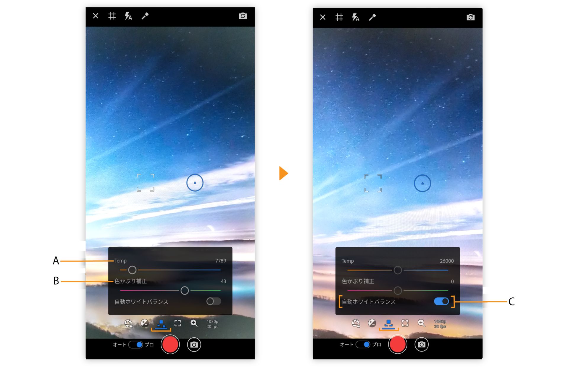 Premiere Rush の「プロ」モードのホワイトバランスオプション