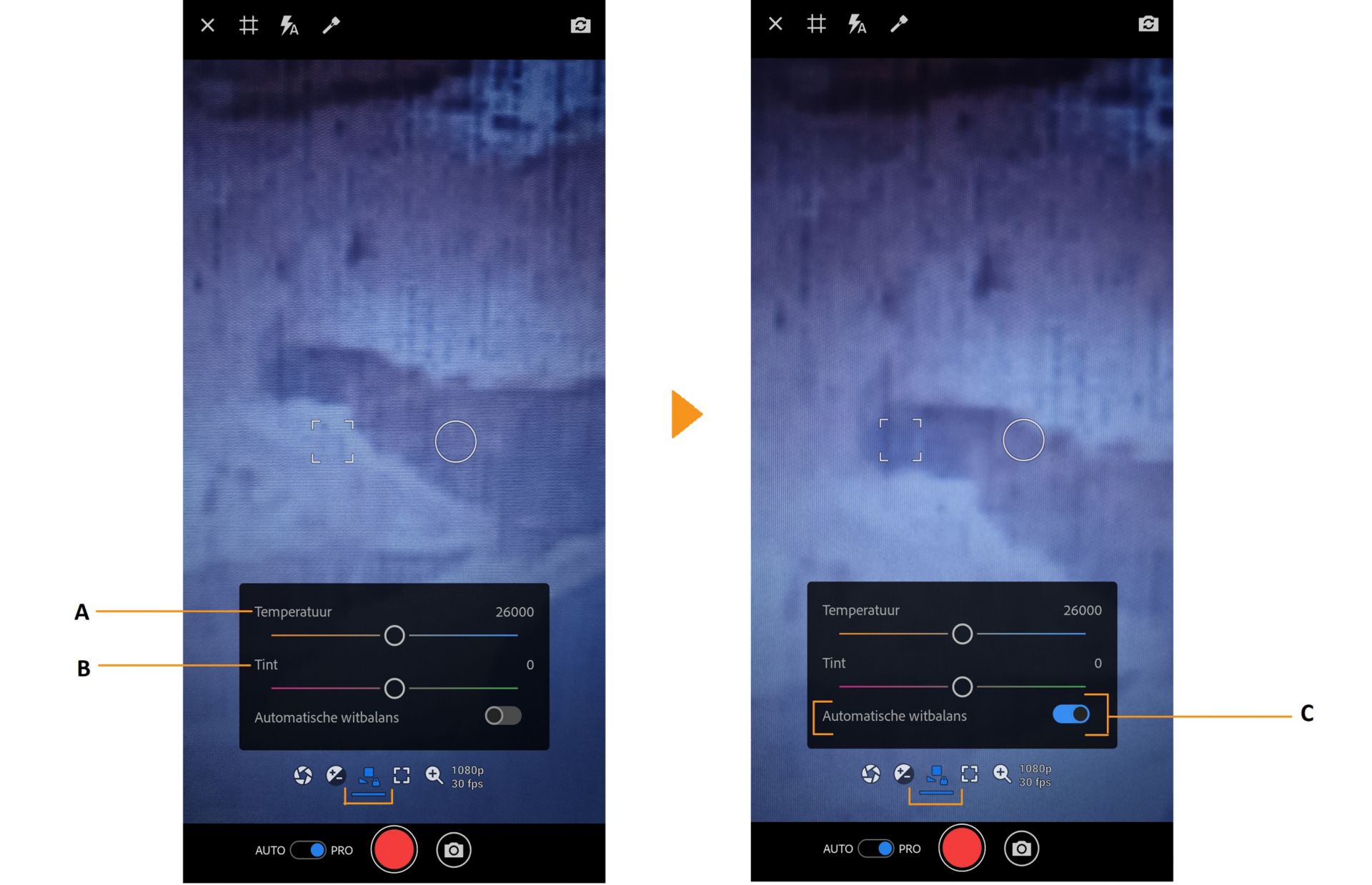 PRO-witbalansopties in Premiere Rush