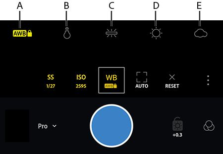Alternativ för vitbalans och vitbalanslås i Adobe Photoshop Lightroom CC för mobila enheter (Android)