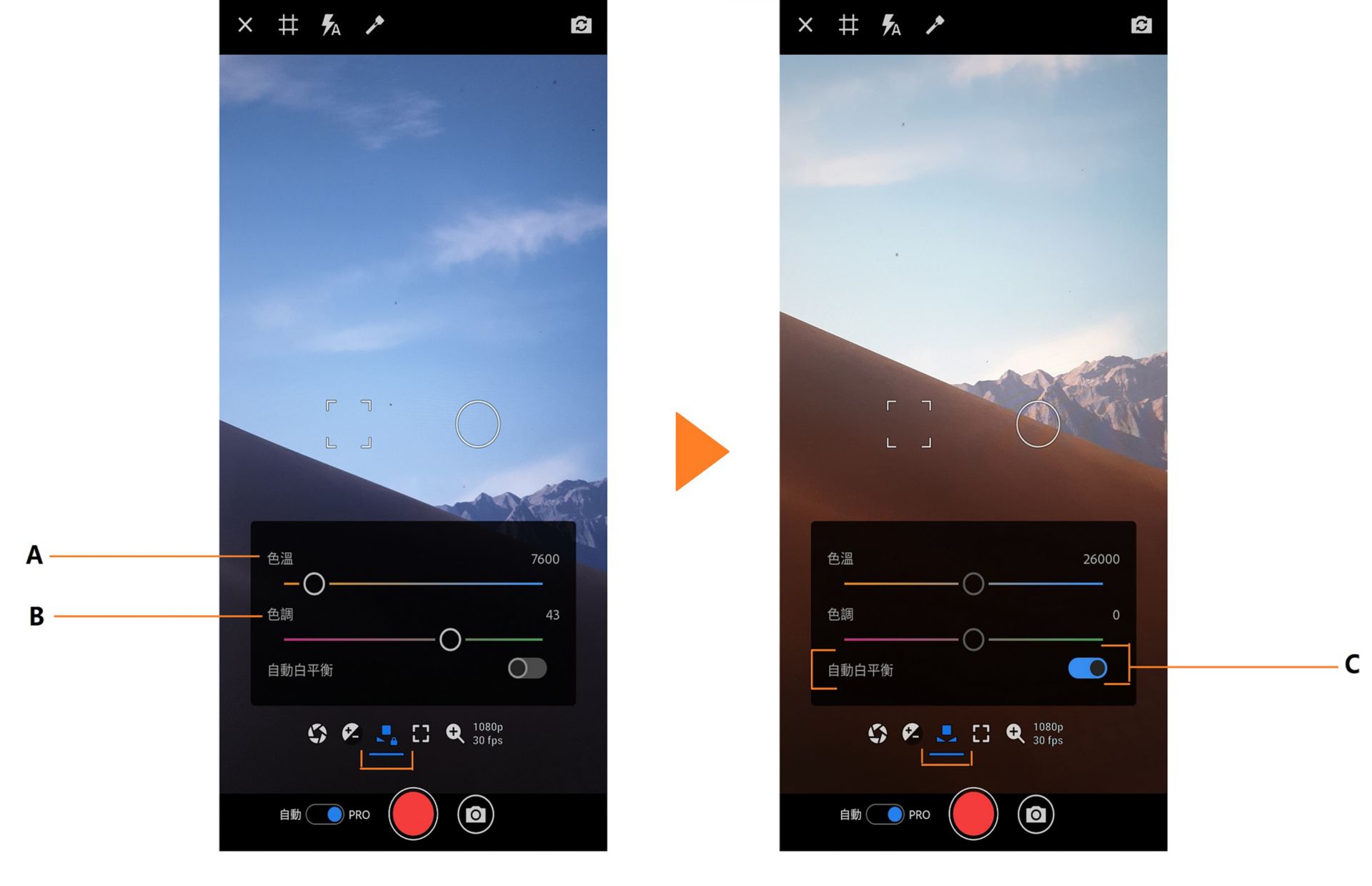 Premiere Rush 的 PRO 白平衡選項