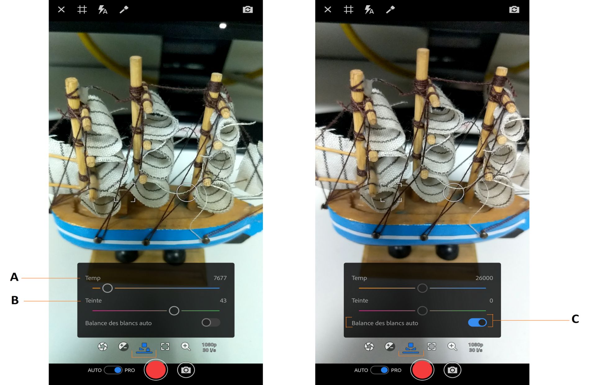 Options de balance des blancs PRO dans Premiere Rush