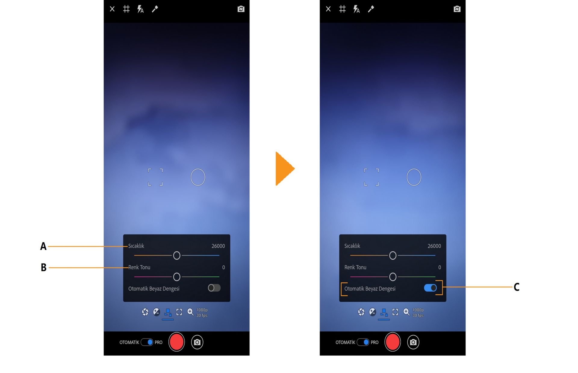 Premiere Rush'taki PRO beyaz dengesi seçenekleri