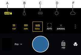 Weißabgleichoptionen und Weißabgleichsperre in Adobe Photoshop Lightroom CC für Mobilgeräte (Android)