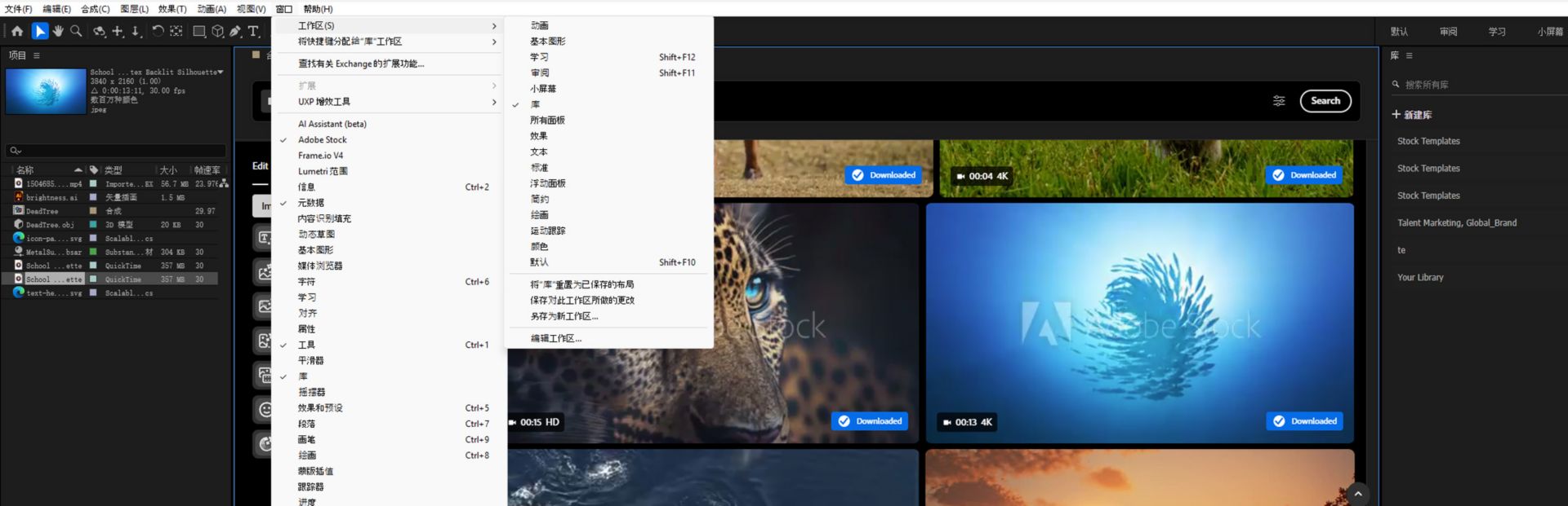 “窗口”菜单下展开的“工作区”子菜单，其中显示了面板布局预设，并且“库”选项旁显示勾选标记，表示该选项处于选中状态。