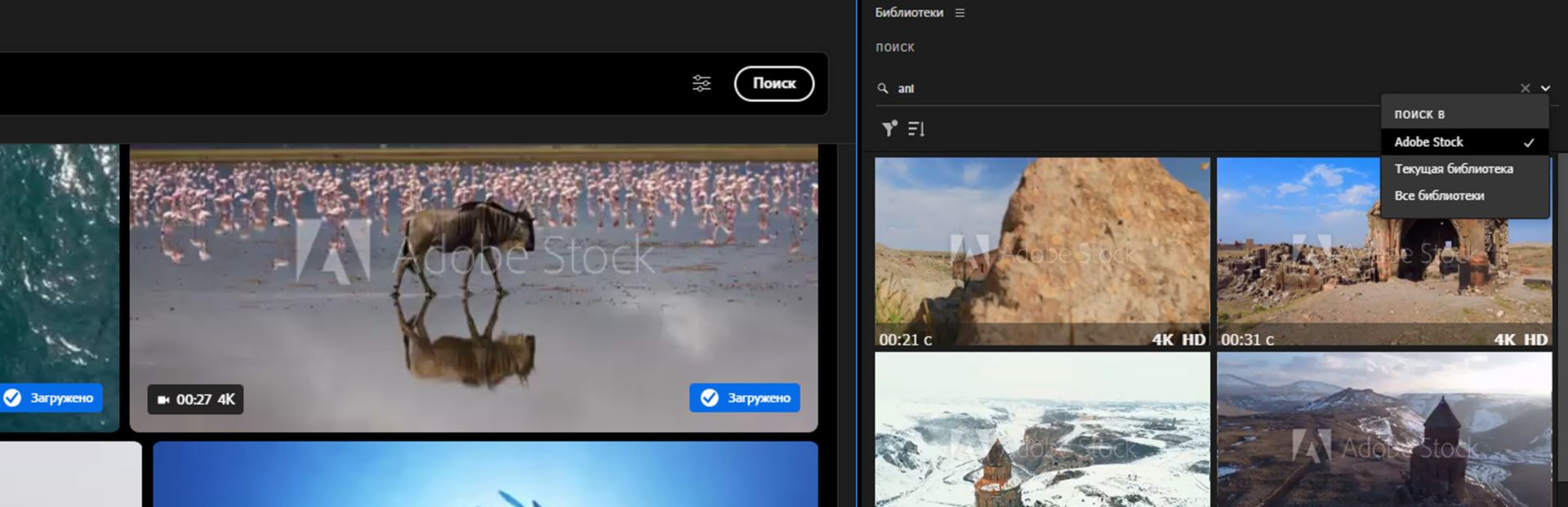 Добавление ресурсов из Adobe Stock в панели «Библиотека»