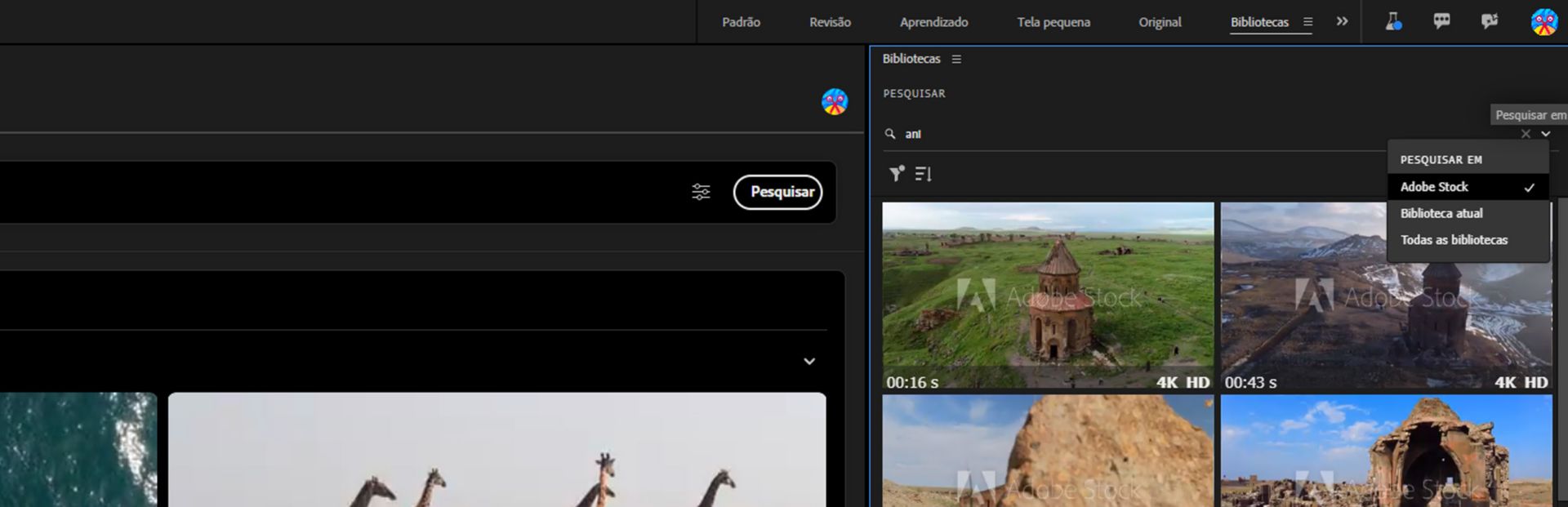 Adicionar ativos do Adobe Stock do painel Biblioteca