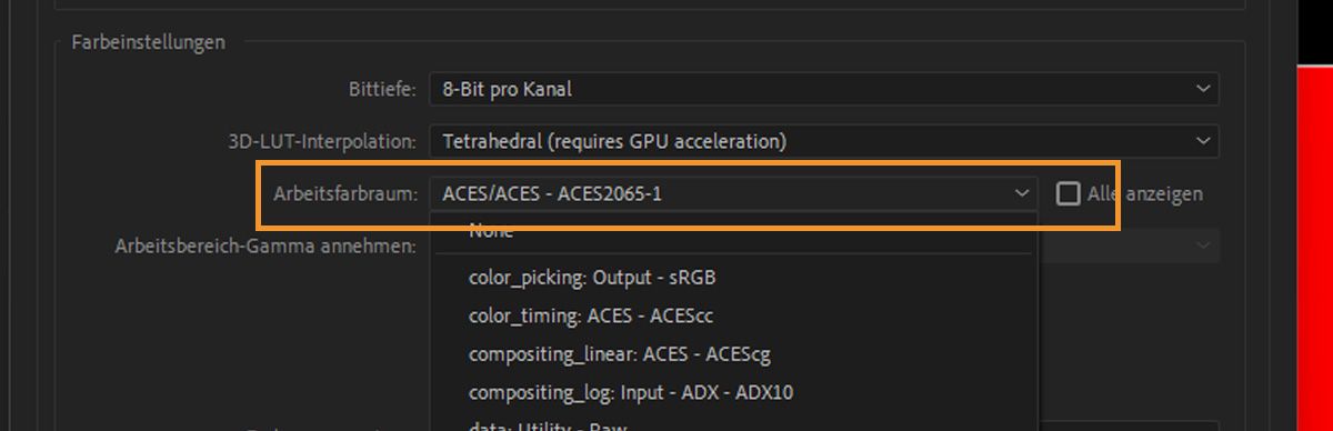 Das Dialogfeld „Projekteinstellungen“ ist geöffnet, und unter dem Abschnitt „Farbeinstellungen“ ist das Dropdown-Menü „Arbeitsfarbraum“ geöffnet, und ein Farbraum ist ausgewählt.