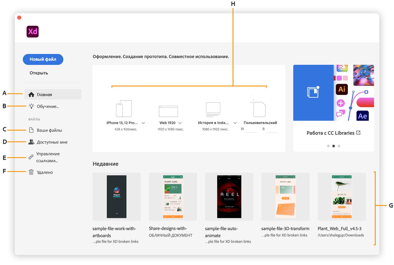 Главный экран приложения XD