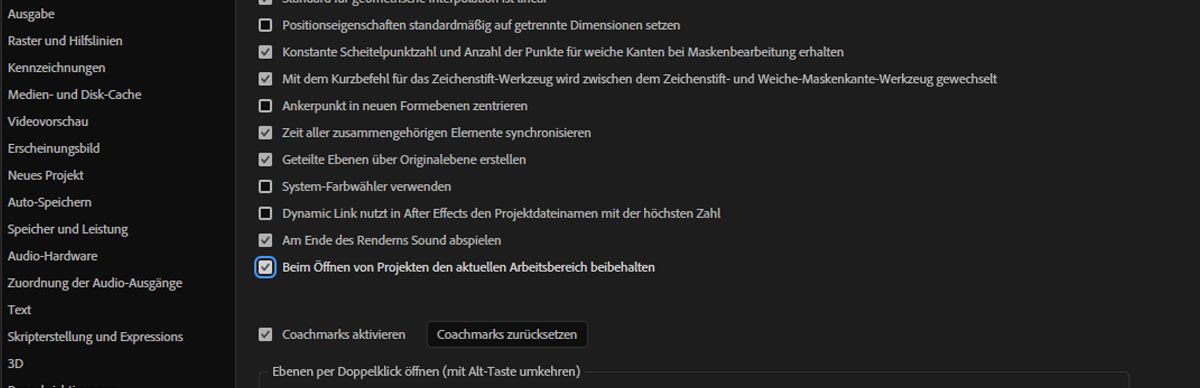 Die Voreinstellungen sind geöffnet und unter „Allgemein“ ist die Option „Beim Öffnen von Projekten aktuellen Arbeitsbereich beibehalten“ ausgewählt.