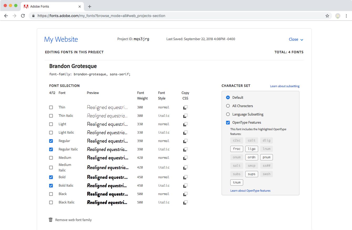 CSS-information på webbprojektsidan