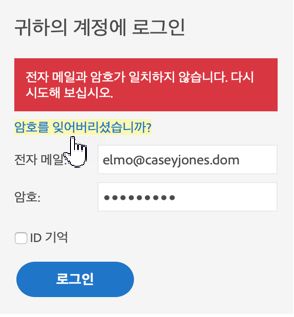 인증 오류 메시지