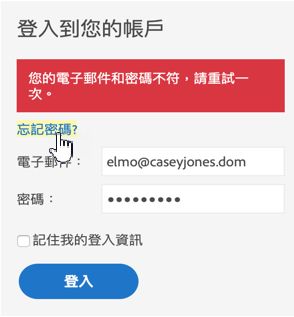 驗證錯誤訊息