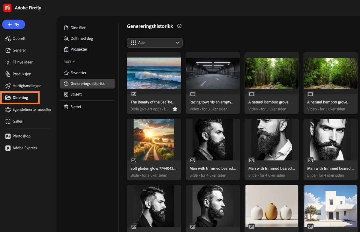 Dine ting-siden i Firefly viser faner som Dine filer, Delt med deg, Prosjekter, Favoritter, Stilsett og Slettet