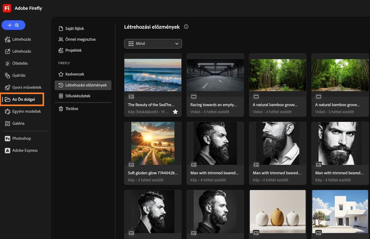 A Firefly Saját anyagok oldala olyan lapokat jelenít meg, mint a Saját fájlok, 
Önnel megosztva, Projektek, Kedvencek, Stíluskészletek és Törölt elemek