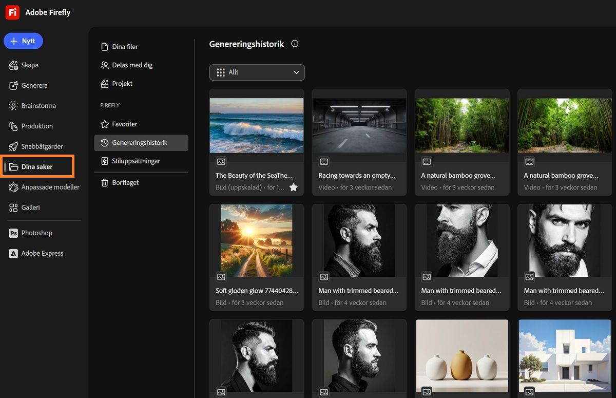 Fireflys sida Dina saker visar flikar som Dina resurser, Delat med dig, Projekt, Favoriter, Stiluppsättningar och Borttaget